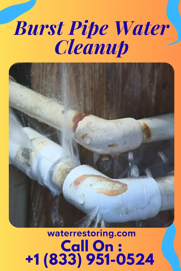 Burst Pipe Water Cleanup in Eldora, IA