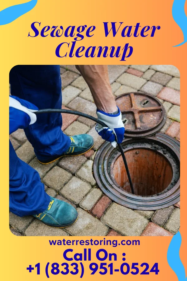 Sewage Water Cleanup in Eldora, IA